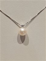 Collana Davite & Delucchi Donna CLASSIC LINE in Oro bianco Perla CLNP11250
